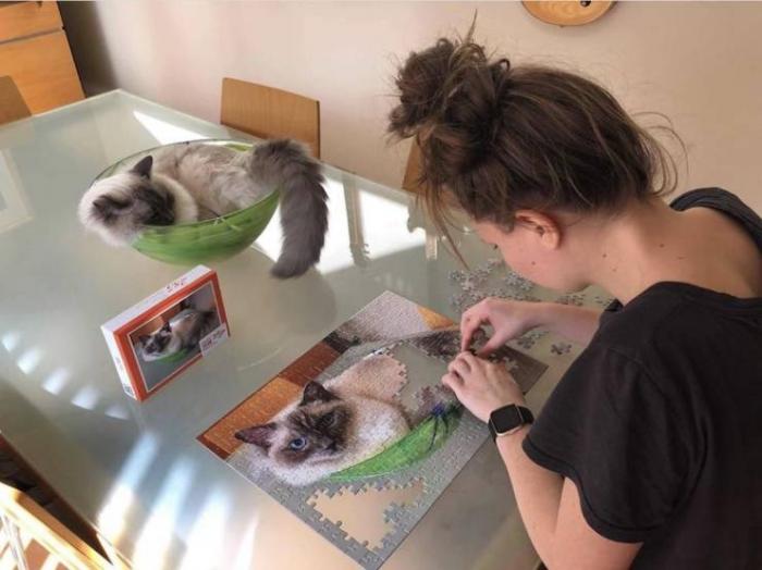 �������� ���������� ���� �2420 (65 ����)