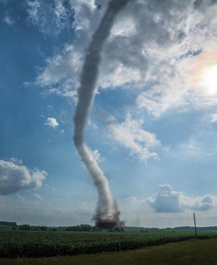 �������� ���������� ���� �2420 (65 ����)