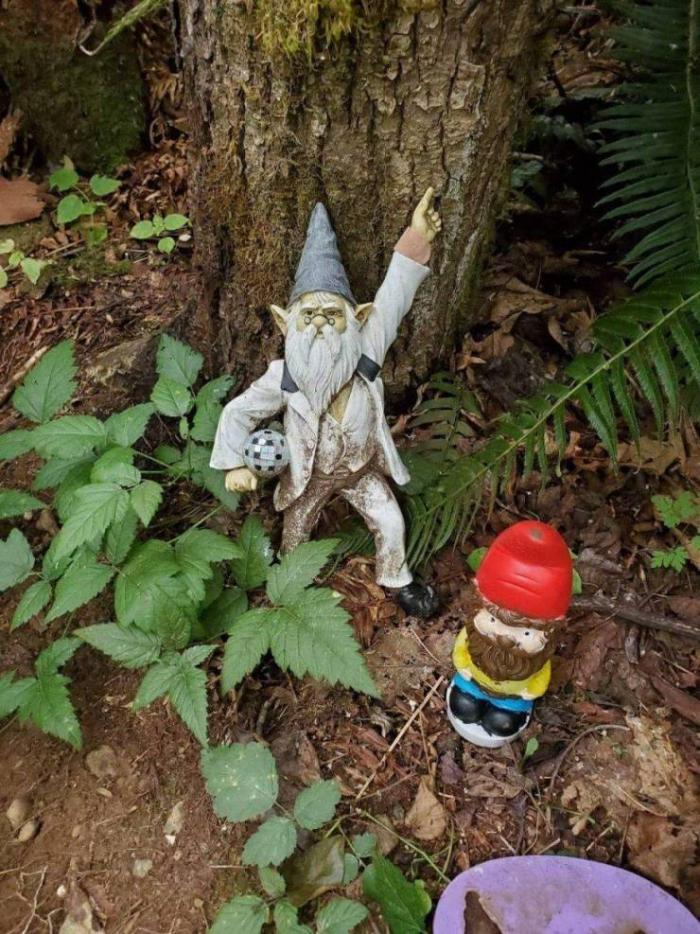 �������� ���������� ���� �2420 (65 ����)