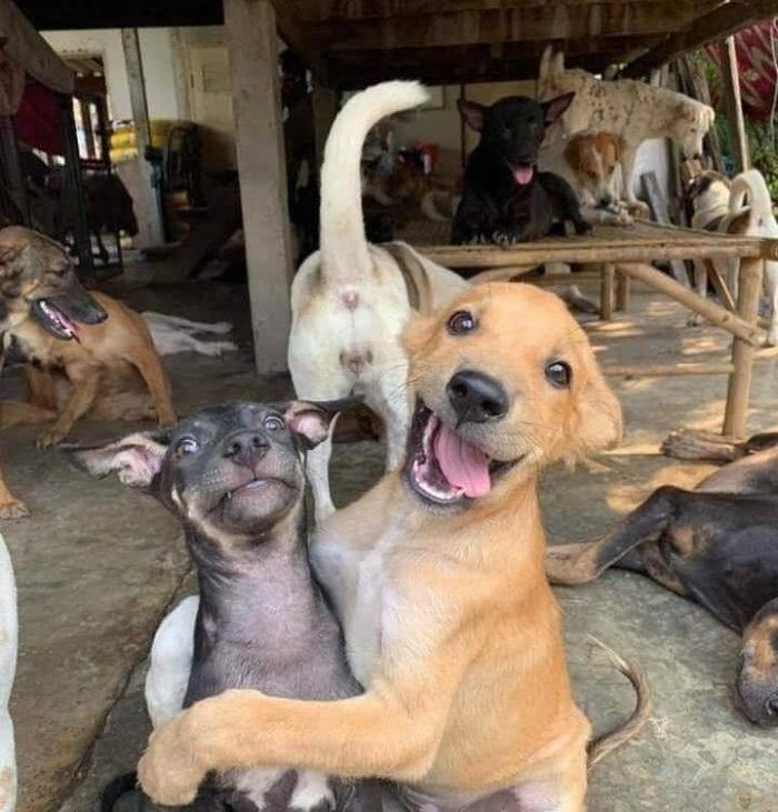 �������� ���������� ���� �2420 (65 ����)