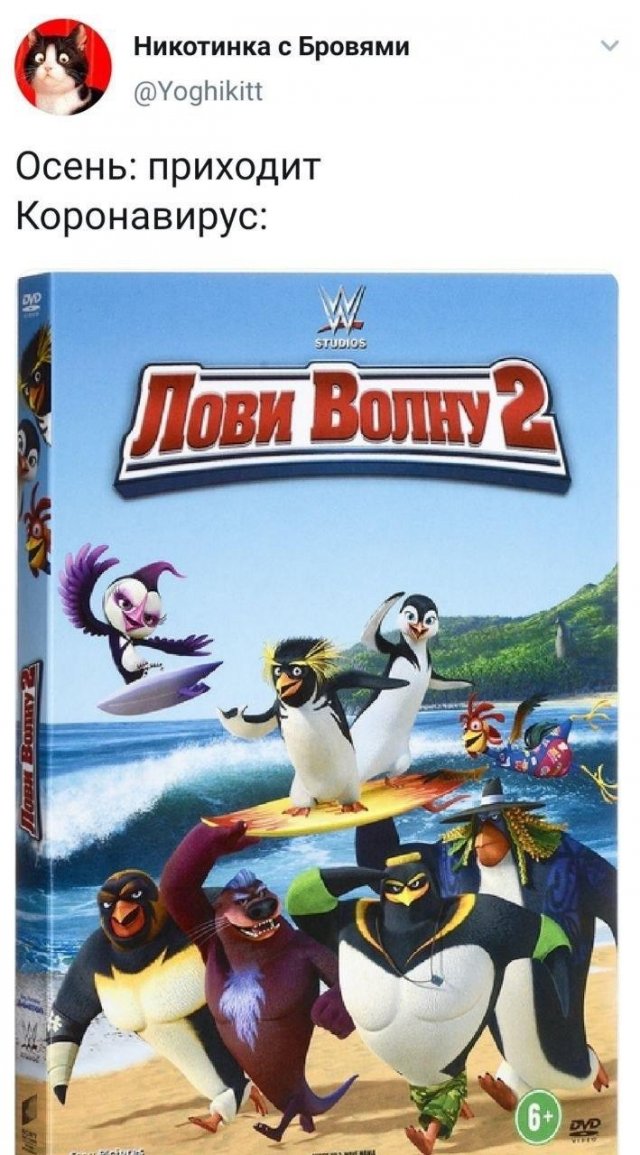 ����� ���: "�������� ������������ ���������� ����������" (10 ����)