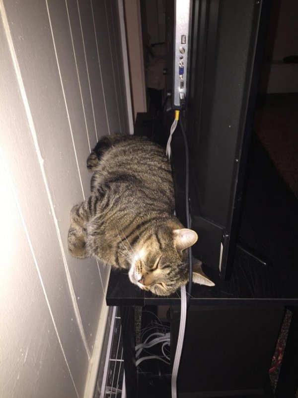 ����, ��� �������� �� ������� ������ ������ (16 ����)