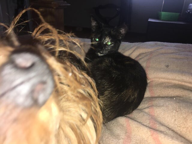 ����������� ���-�� ����������, ������� ����� ������ ����� (19 ����)