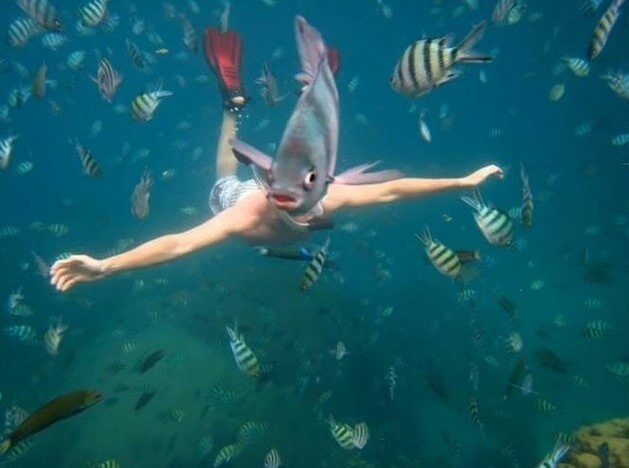 ����������� ���-�� ����������, ������� ����� ������ ����� (19 ����)