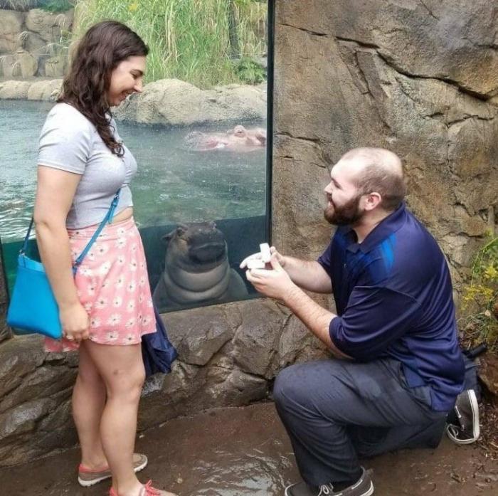 ����������� ���-�� ����������, ������� ����� ������ ����� (19 ����)