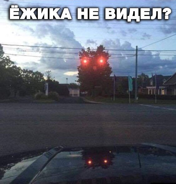 ���������� � ������� �������� (33 ����)