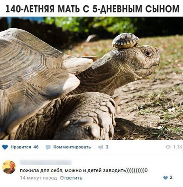 ���������� � ������� �������� (33 ����)