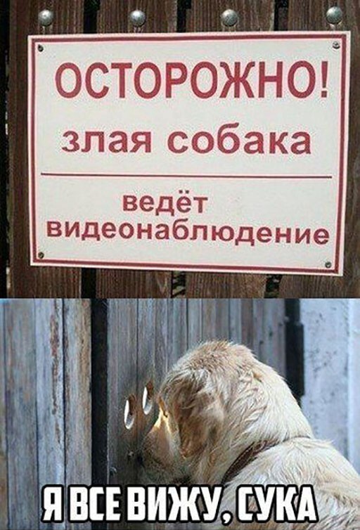 ���������� � ������� �������� (33 ����)