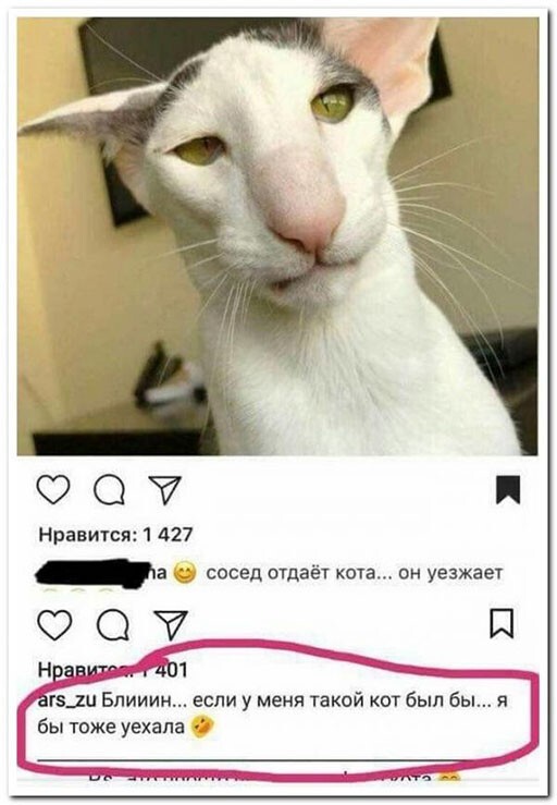 ���������� � ������� �������� (33 ����)