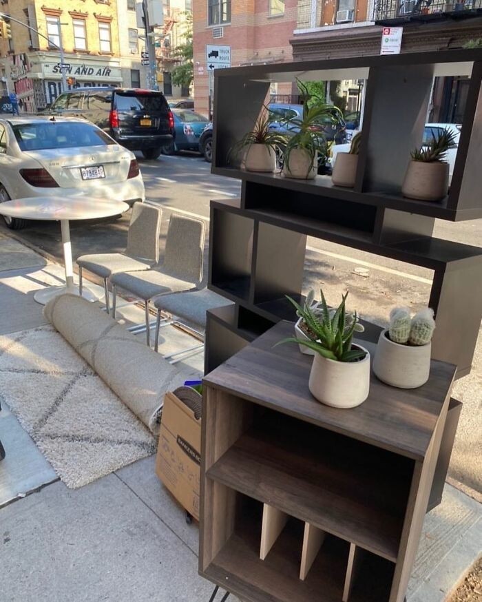 ������ ����� - � ������� ����� ���� ����������! (31 ����)