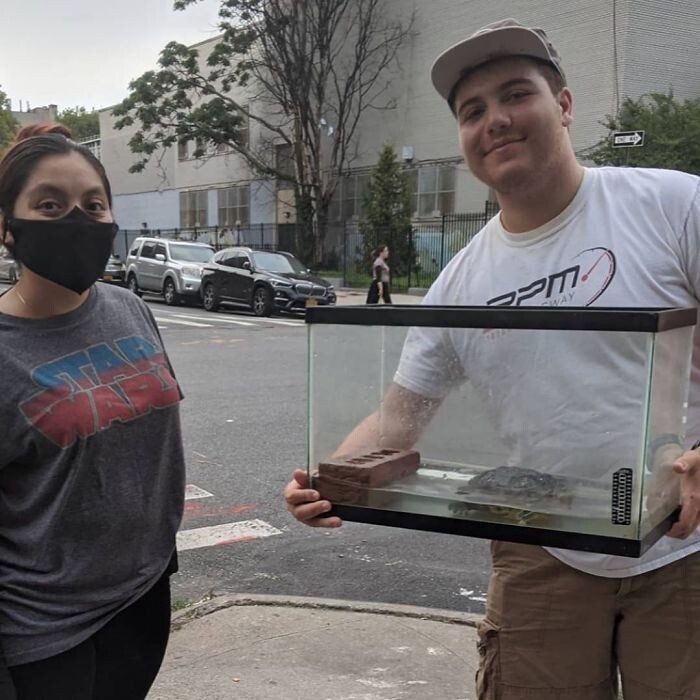 ������ ����� - � ������� ����� ���� ����������! (31 ����)