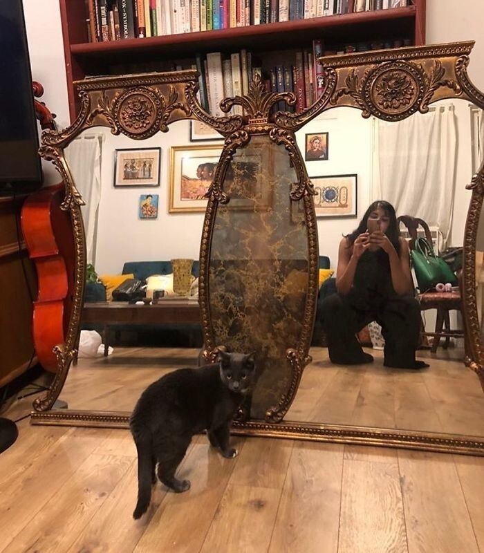 ������ ����� - � ������� ����� ���� ����������! (31 ����)