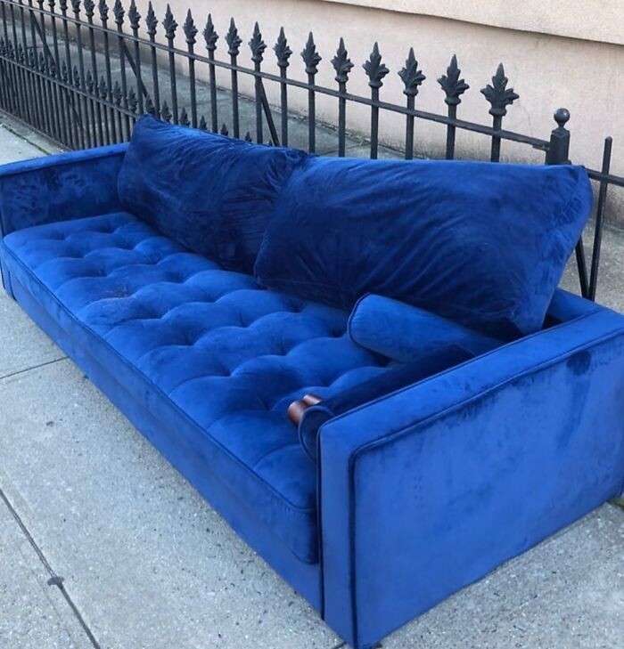 ������ ����� - � ������� ����� ���� ����������! (31 ����)