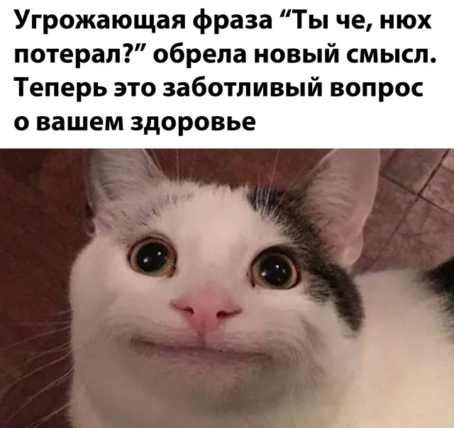 �������� ���������� ���� �2474 (31 ����)