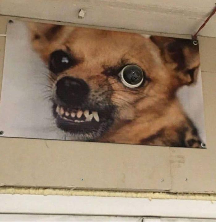 �������� ���������� ���� �2474 (31 ����)