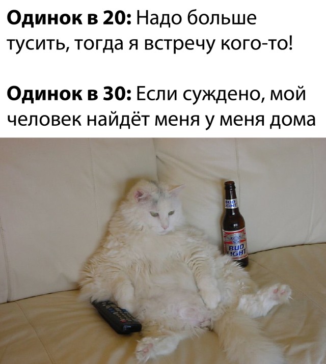 �������� ���������� ���� �2474 (31 ����)