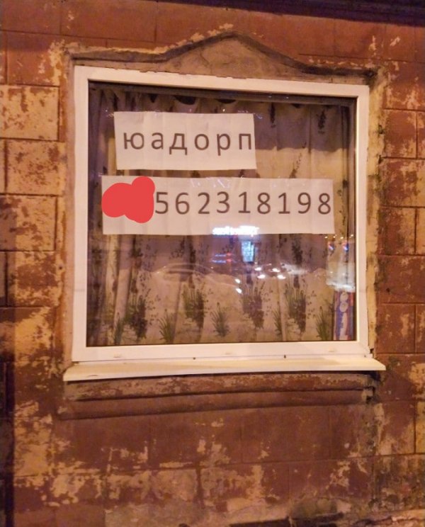 �������� � ������� ������� ��������� ����������� � ��������� (15 ����)