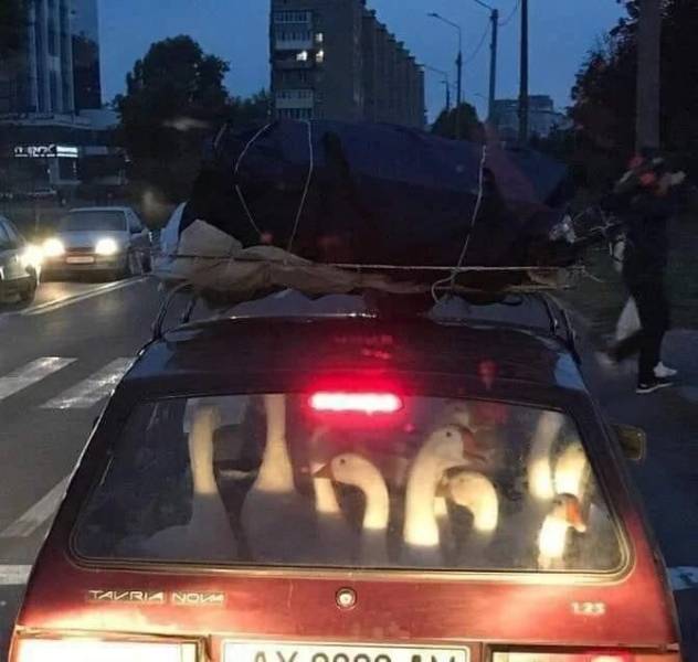 �������� ���������� ���� �2492 (30 ����)