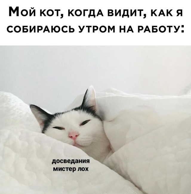 �������� ���������� ���� �2492 (30 ����)