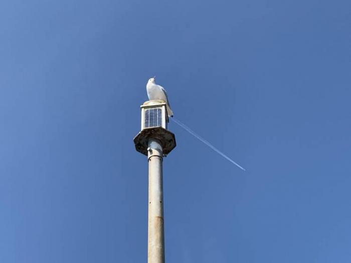 �������� ���������� ���� �2492 (30 ����)