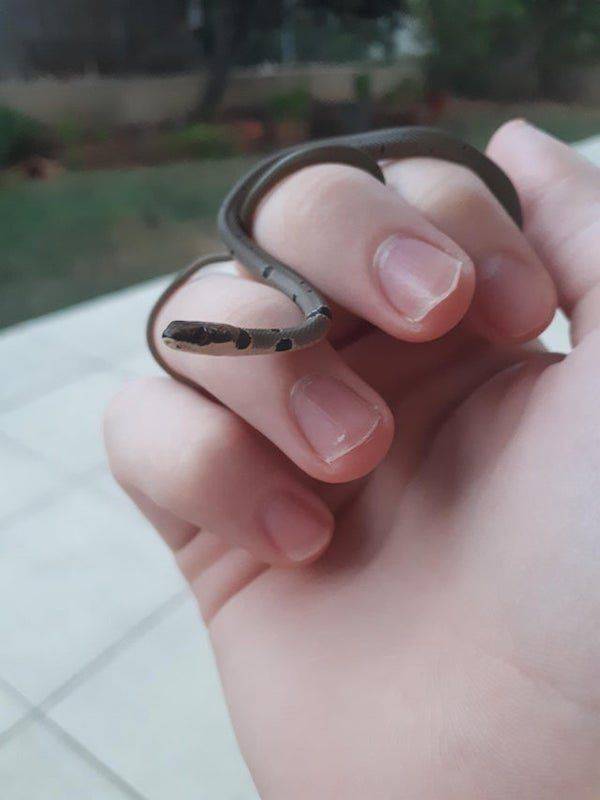 �������� ���������� ���� �2492 (30 ����)