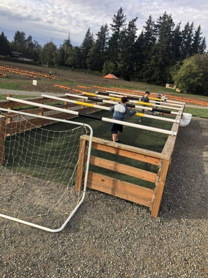 �������� ���������� ���� �2498 (30 ����)