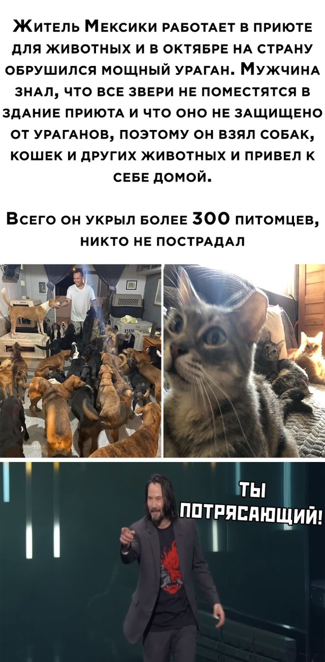 �������� ���������� ���� �2498 (30 ����)