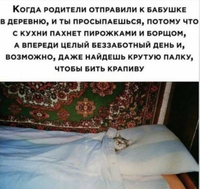 ���� � ����� �� ���� (11 ����)