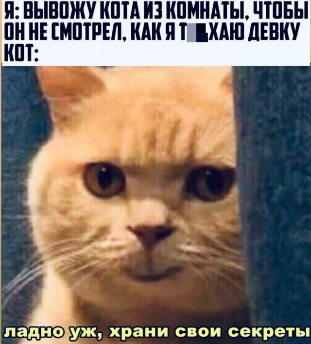 ���� � ������� ��� "���" (15 ����)