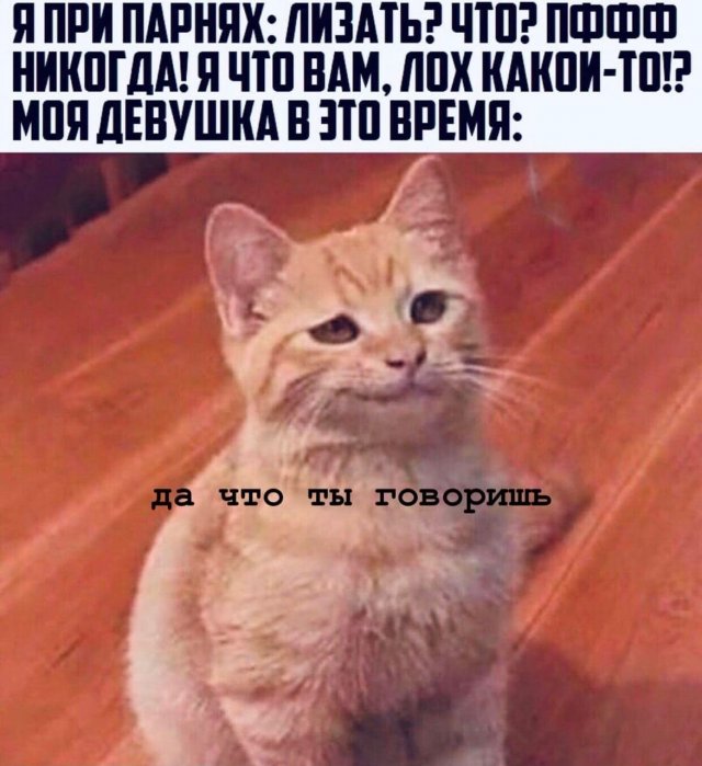 ���� � ������� ��� "���" (15 ����)