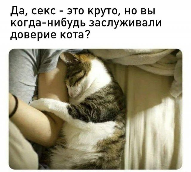 ���� � ������� ��� "���" (15 ����)