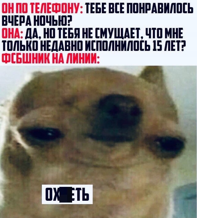 ���� � ������� ��� "���" (15 ����)