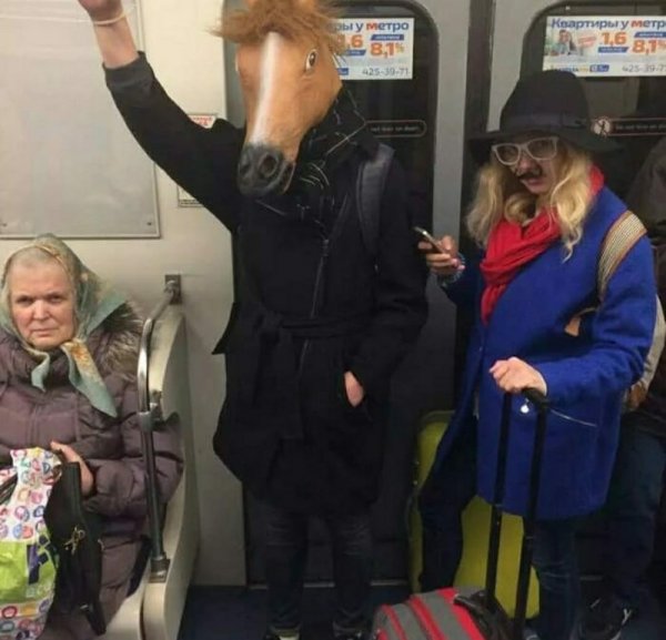 ������� � ������ �� ����� (12 ����)