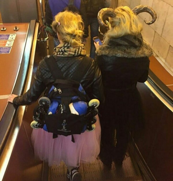 ������� � ������ �� ����� (12 ����)