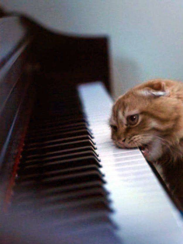 �������� ���������� ���� �2554 (30 ����)