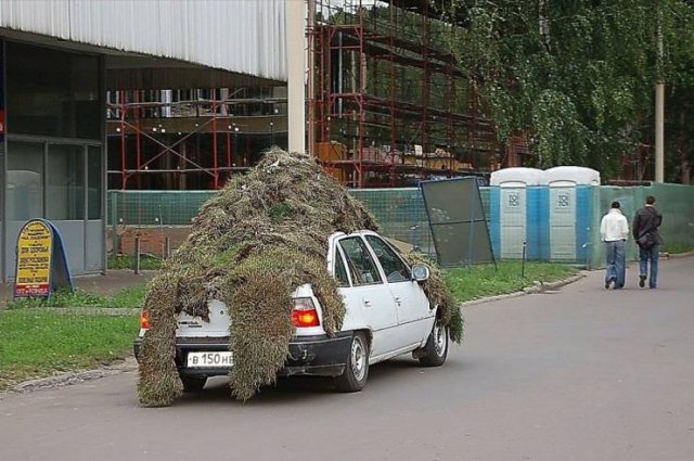 �������� ���������� ���� �2554 (30 ����)