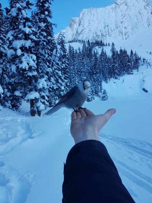 �������� ���������� ���� �2554 (30 ����)