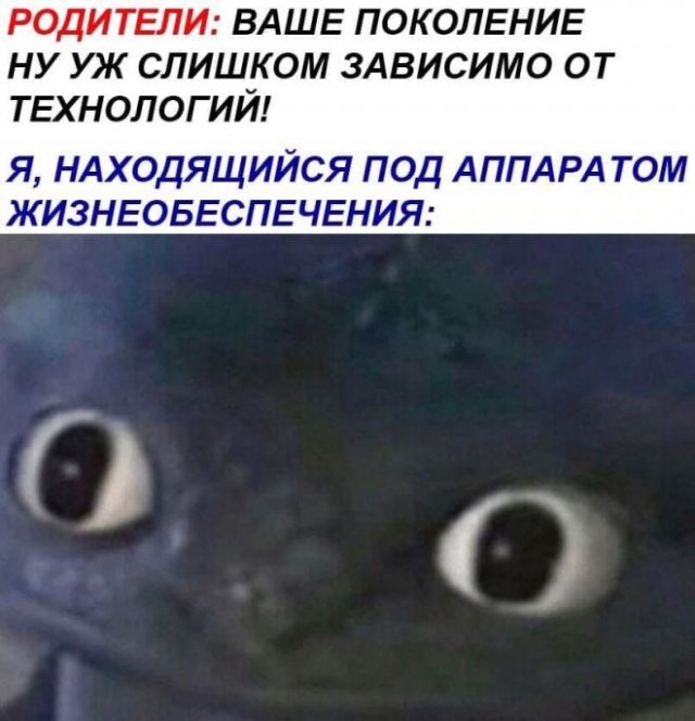 �������� � ������ ���� (15 ����)