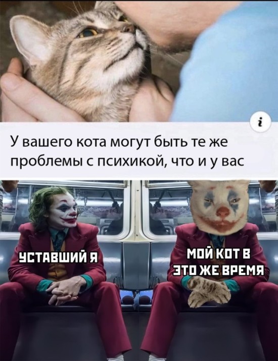 �������� ���������� ���� �2561 (30 ����)