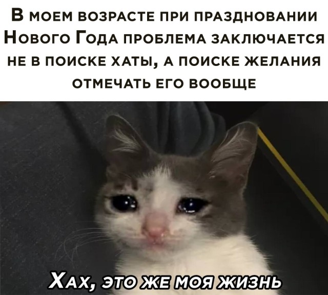 �������� ���������� ���� �2561 (30 ����)