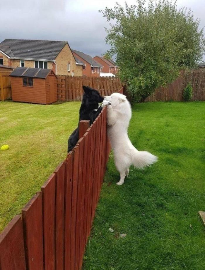 �������� ���������� ���� �2561 (30 ����)