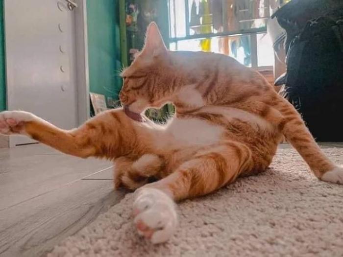 �������� ���������� ���� �2561 (30 ����)