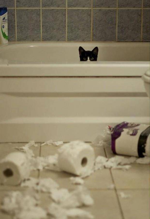 �������� ���������� ���� �2561 (30 ����)