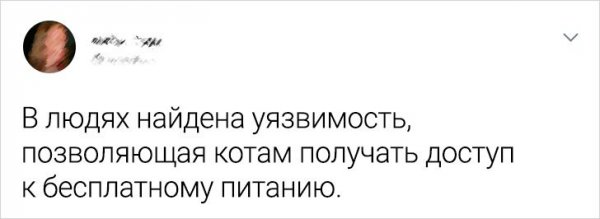 �������� �������� ������ (16 ����)