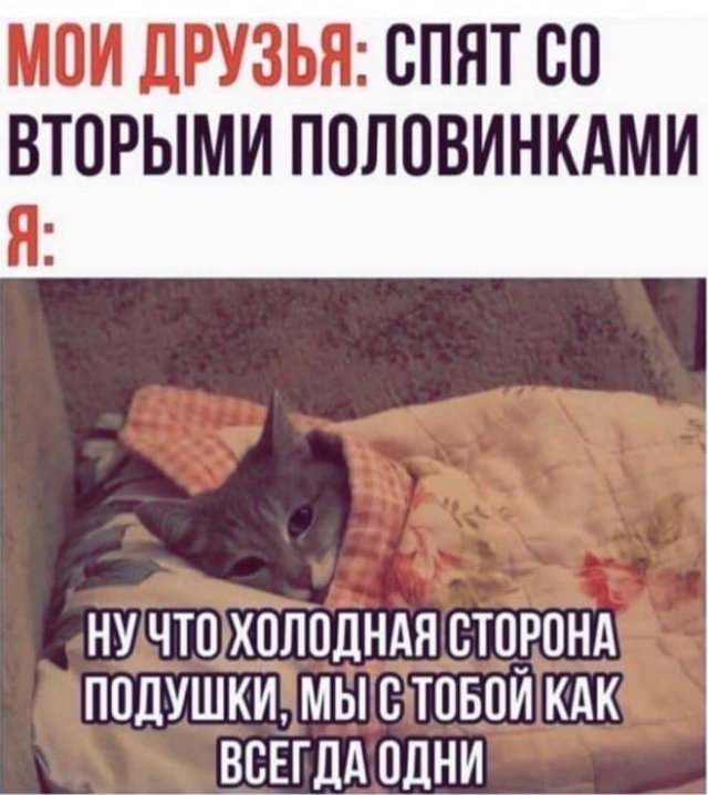 ����� � ���� �� ���� (15 ����)