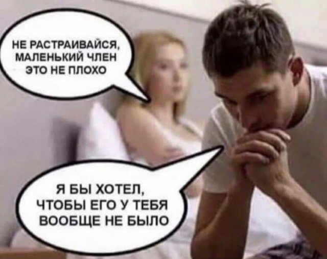 ����� � ���� �� ���� (15 ����)