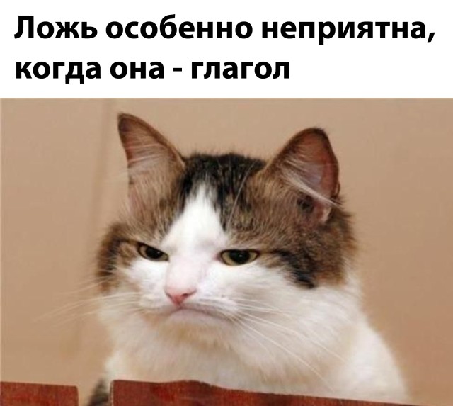 �������� ���������� ���� �2589 (30 ����)