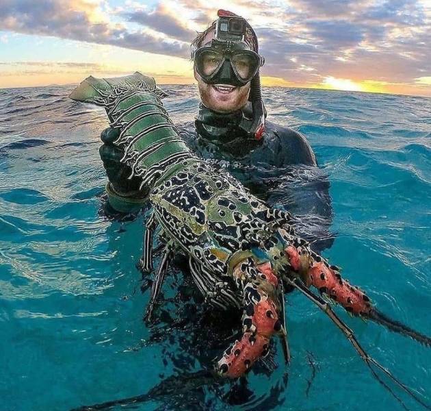 �������� ���������� ���� �2589 (30 ����)