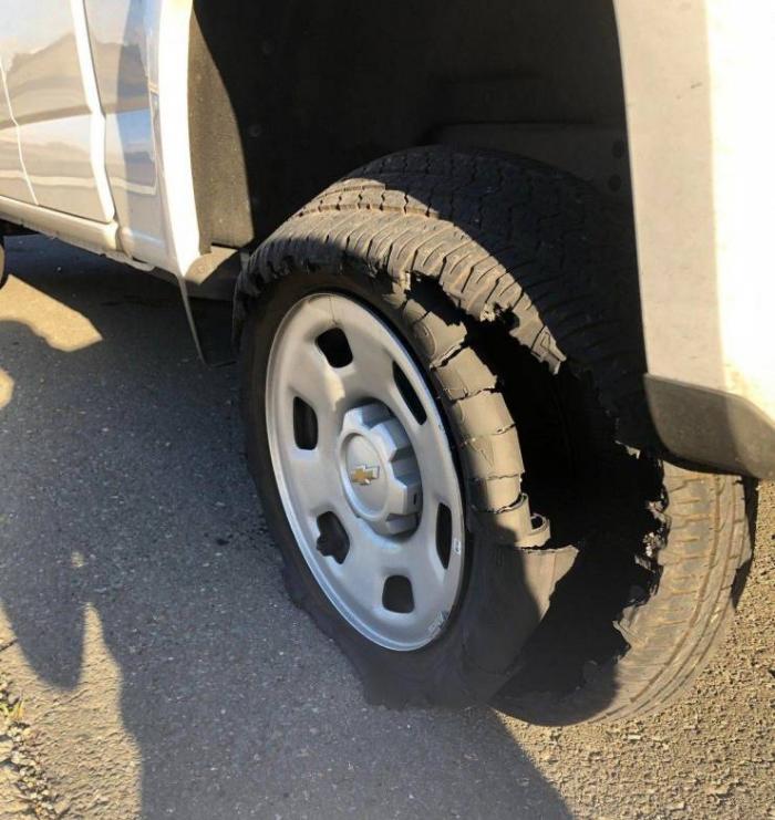 �������� ���������� ���� �2589 (30 ����)