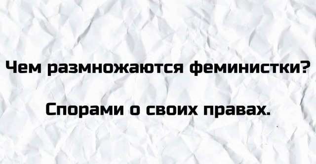 ������ ����� �� ������������� (15 ����)